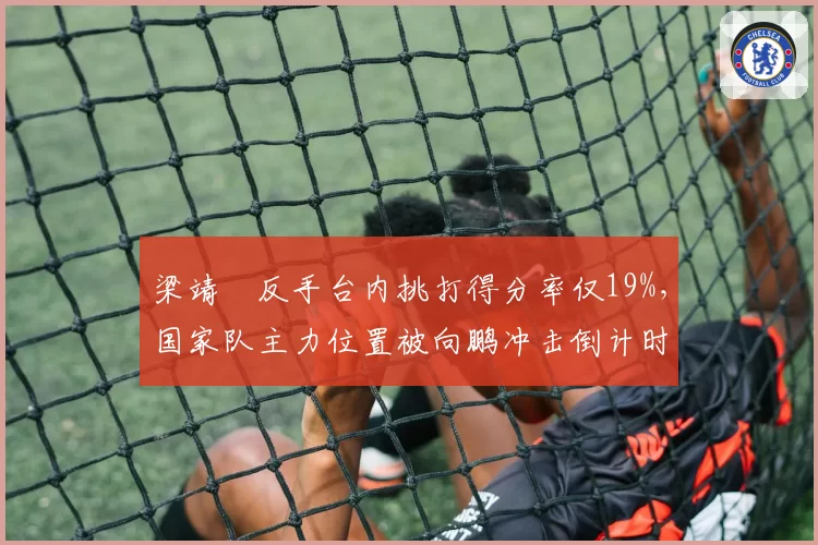 梁靖崑反手台内挑打得分率仅19%，国家队主力位置被向鹏冲击倒计时？