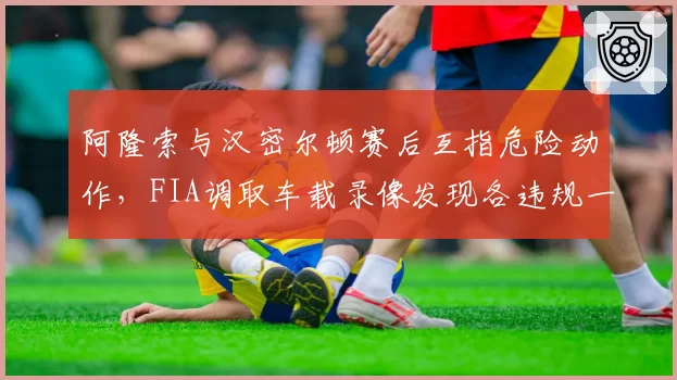 阿隆索与汉密尔顿赛后互指危险动作,FIA调取车载录像发现各违规一次