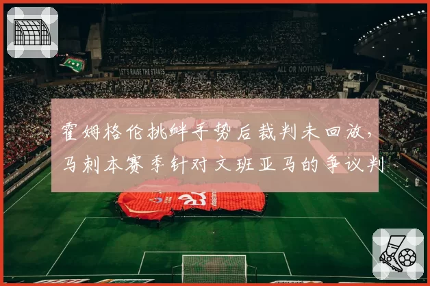 霍姆格伦挑衅手势后裁判未回放，马刺本赛季针对文班亚马的争议判罚达8次