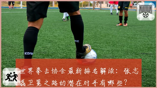 世界拳击协会最新排名解读:张志磊卫冕之路的潜在对手有哪些?