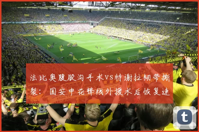 法比奥腹股沟手术vs特谢拉韧带撕裂：国安申花锋线外援术后恢复速度天差地别