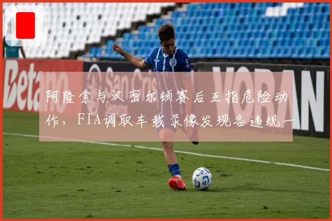 阿隆索与汉密尔顿赛后互指危险动作，FIA调取车载录像发现各违规一次
