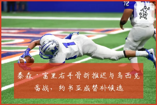 泰森·富里右手骨折推迟与乌西克二番战，约书亚成替补候选